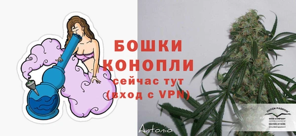 трава Беломорск