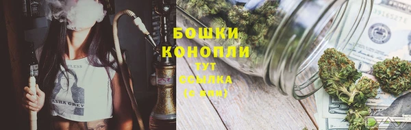 крисы Белокуриха