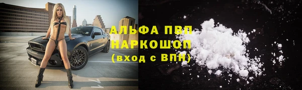 прущие крисы Богородицк