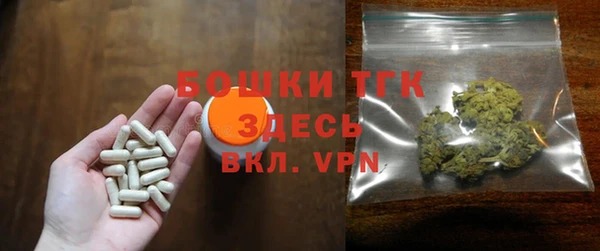индика Белоозёрский
