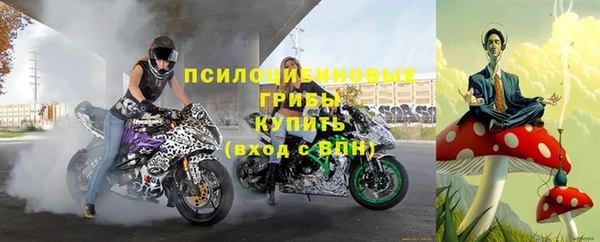 индика Белоозёрский